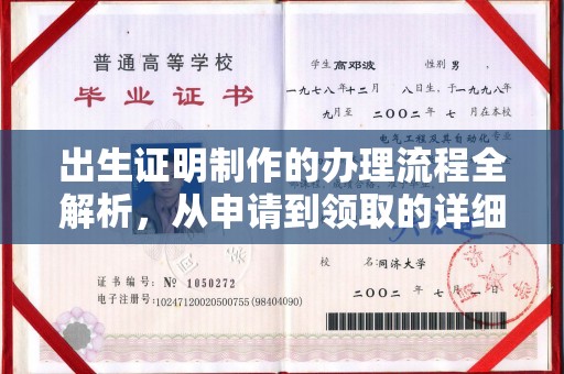 陇川出生证明制作的办理流程全解析，从申请到领取的详细指南
